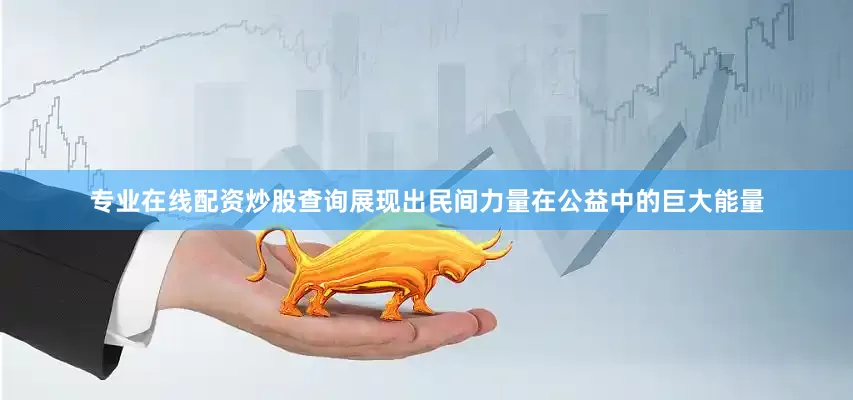 专业在线配资炒股查询展现出民间力量在公益中的巨大能量