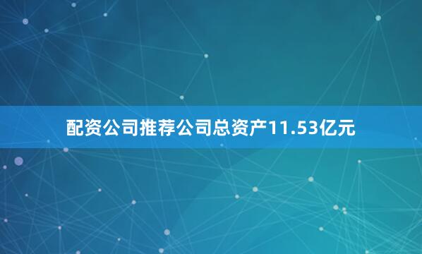 配资公司推荐公司总资产11.53亿元